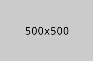 Software Development